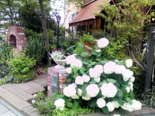 f0113108_214463.jpg