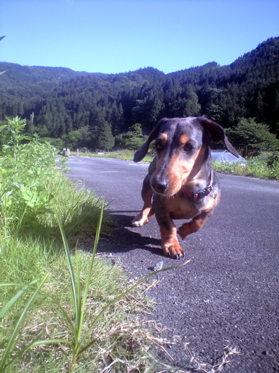 f0135908_0222460.jpg