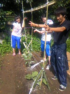 b0187210_5502791.jpg