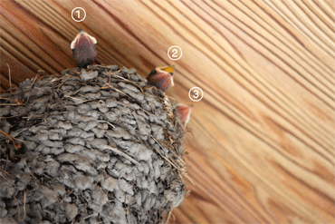 c0143711_216384.gif