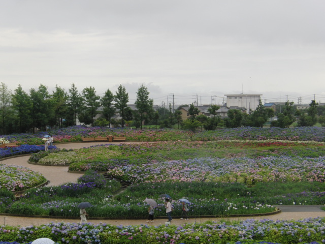 d0117011_724383.jpg