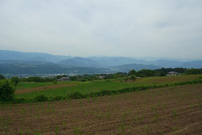 a0147813_19592660.jpg