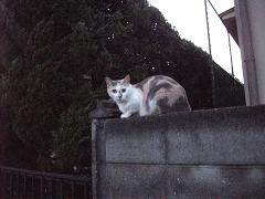 a0158613_2010827.jpg