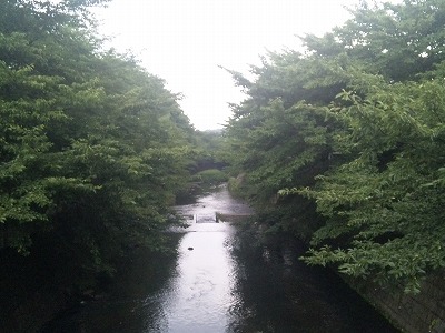 c0128722_16391666.jpg