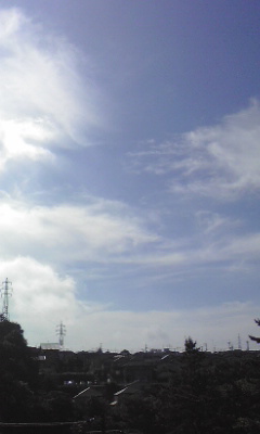 b0174923_19583641.jpg