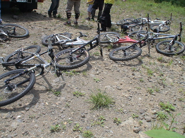 f0028123_150765.jpg