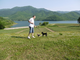 d0161525_1330523.jpg