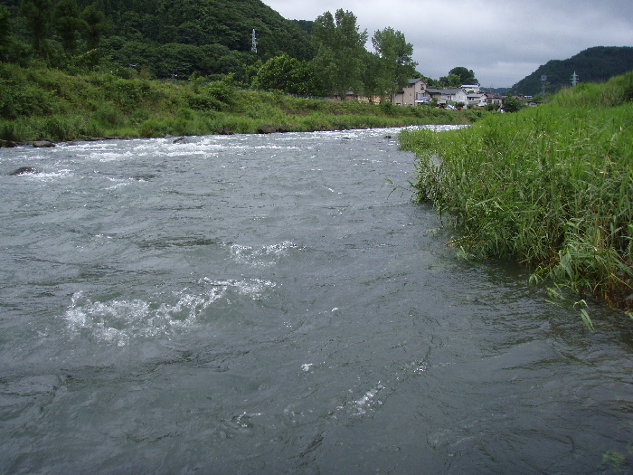 f0103126_20441032.jpg