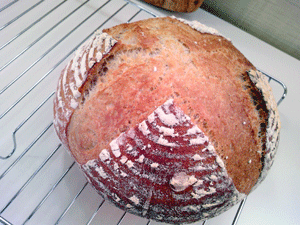 c0221827_1557625.gif