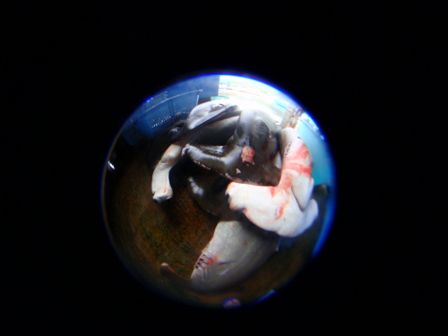 c0034029_76149.jpg