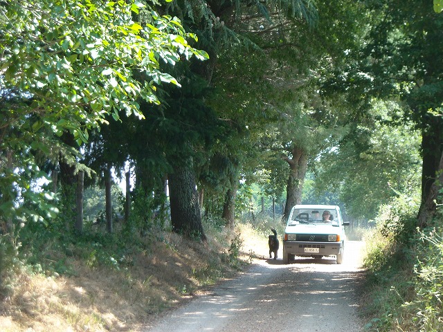 d0092439_228373.jpg
