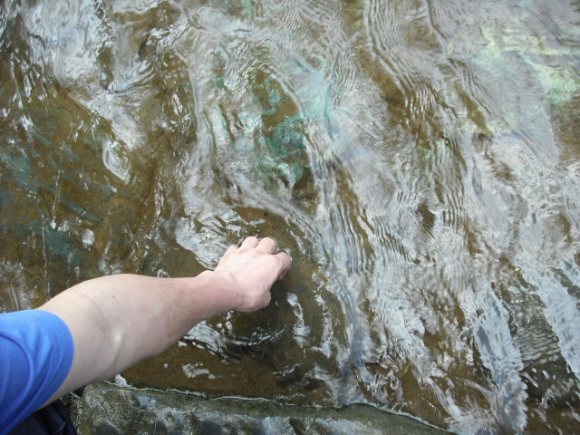 c0194042_15342260.jpg