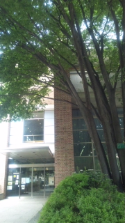 b0139547_13492745.jpg