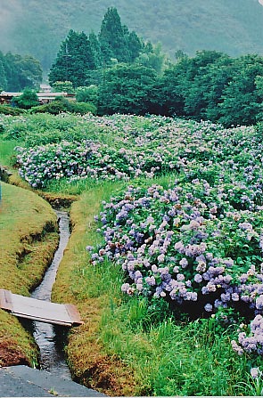 e0156251_21511579.jpg