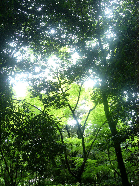 c0225153_18211760.gif