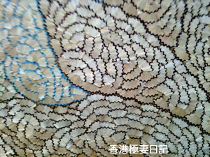 f0190653_9434157.jpg