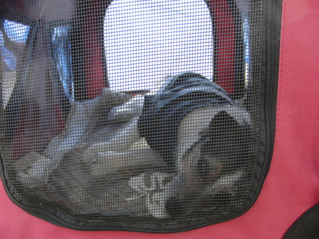 e0171460_7201774.jpg