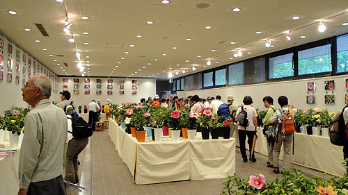 b0101263_13551264.jpg