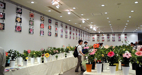 b0101263_13551775.jpg