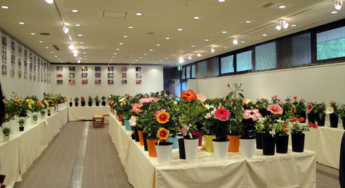 b0101263_13552953.jpg