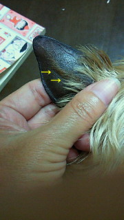 f0192863_13502470.jpg