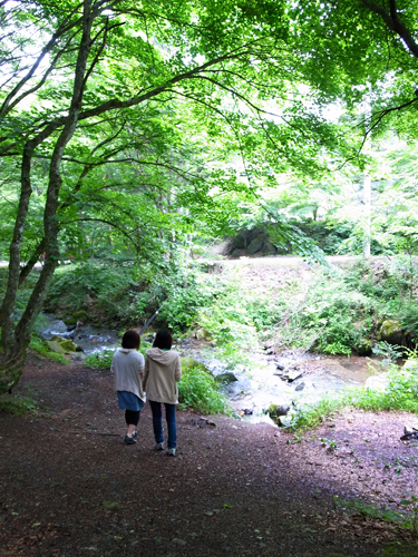 c0048265_1447714.jpg