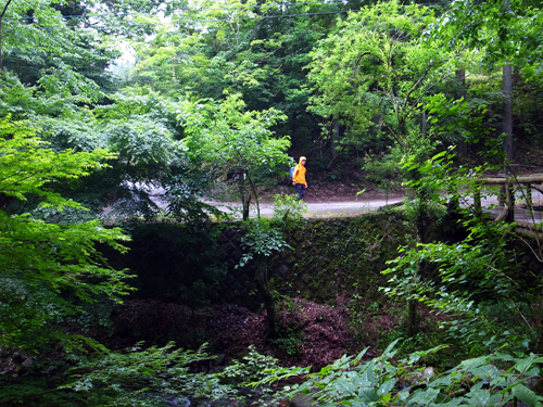 c0048265_1585327.jpg