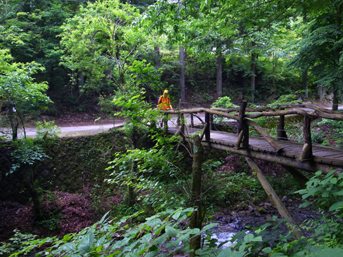 c0048265_1591458.jpg