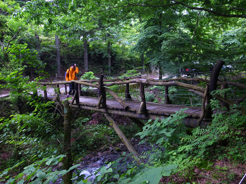 c0048265_1592261.jpg