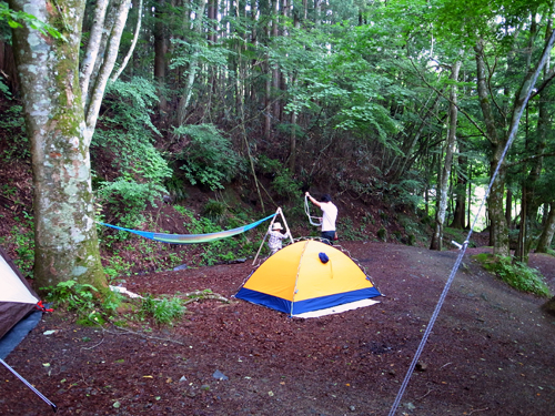 c0048265_17335220.jpg