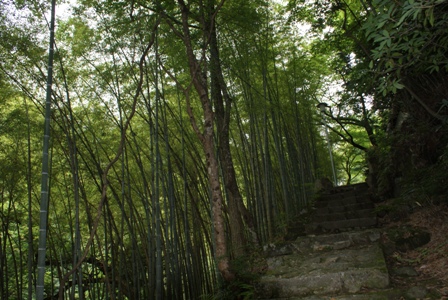 a0091666_2225592.jpg