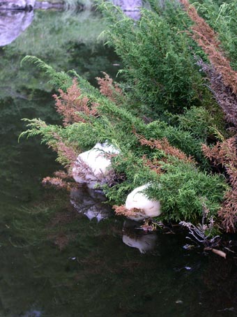 e0118274_2131968.jpg