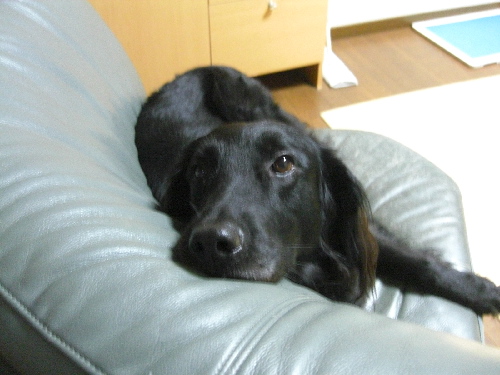 d0116578_20141126.jpg