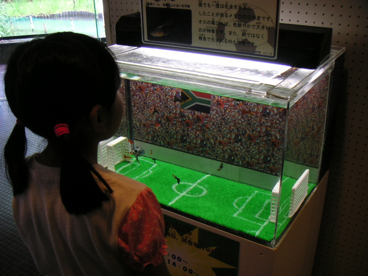 f0007079_14254093.jpg