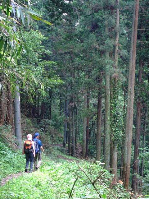 a0043982_21584068.jpg
