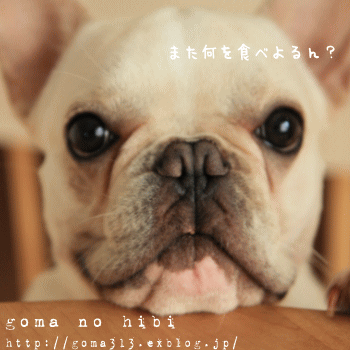 b0180085_10352063.gif