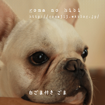 b0180085_10521380.gif