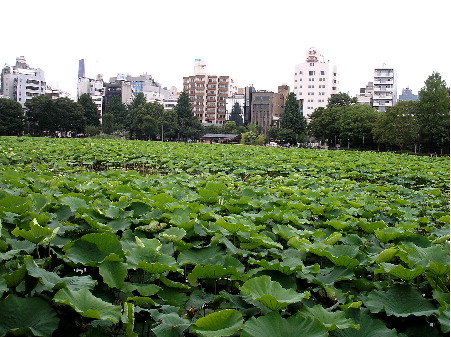 f0235289_96195.jpg
