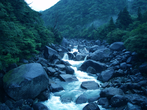 f0132391_1644846.jpg