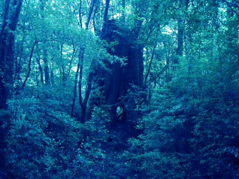 f0132391_1710559.jpg