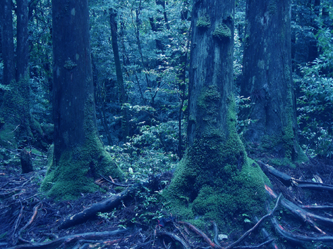 f0132391_1722161.jpg