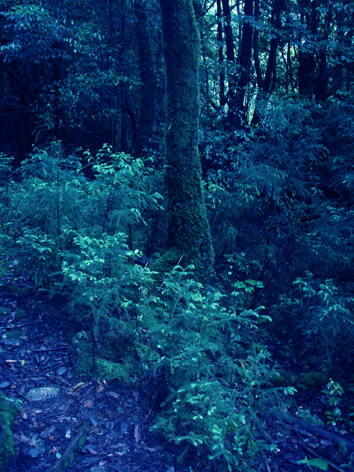 f0132391_17233473.jpg