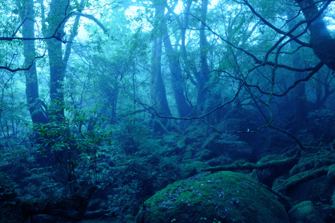 f0132391_17411534.jpg