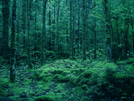 f0132391_1795083.jpg