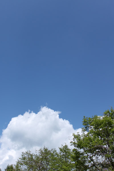 e0179493_8105758.jpg