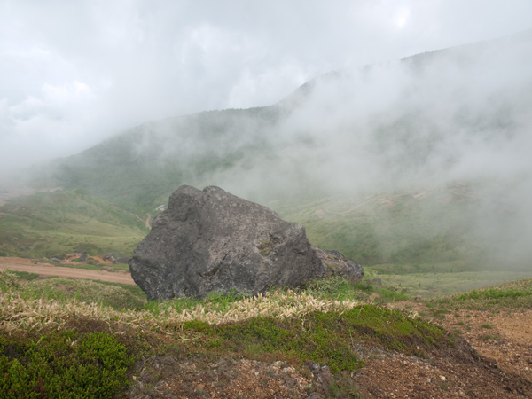 b0075797_17415375.jpg