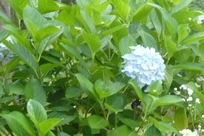f0221708_2039897.jpg