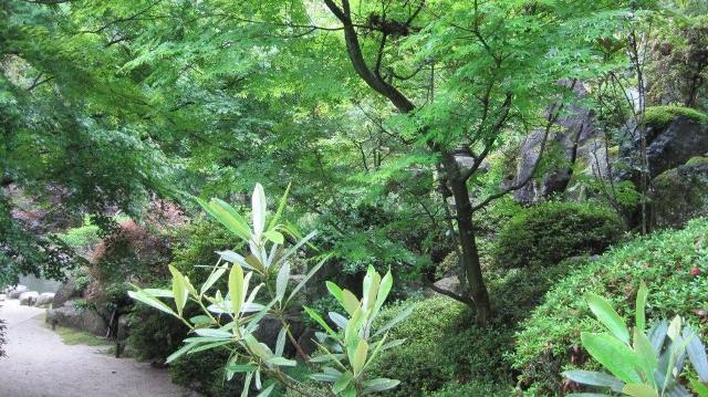 f0231709_1530959.jpg