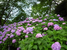 b0035611_2228505.jpg