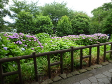 b0035611_22312184.jpg